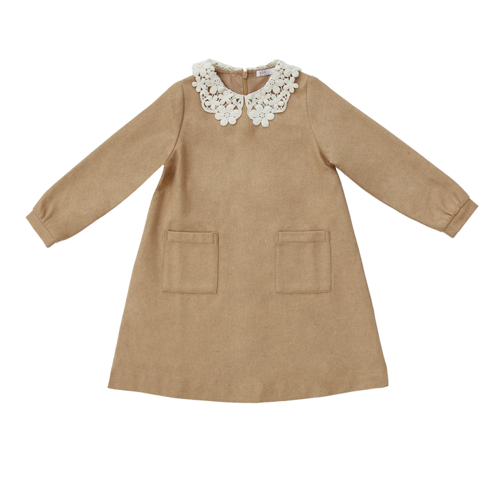 Lace Collar Dress