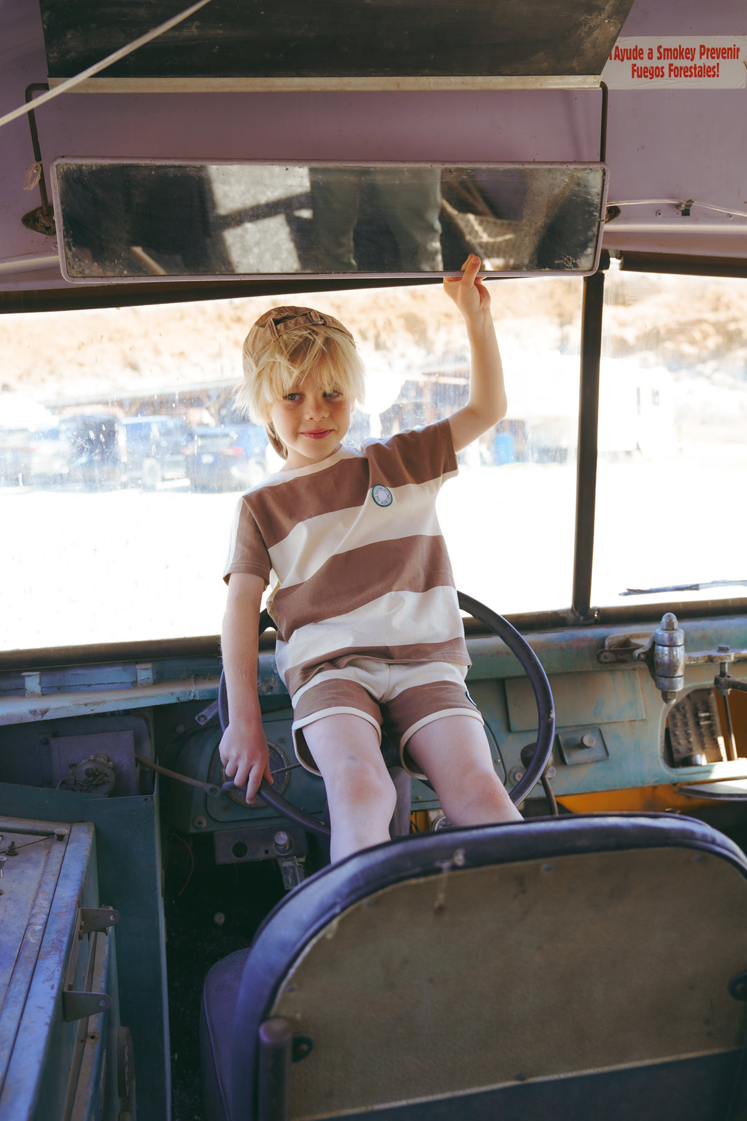 Striped Dolphin Shorts