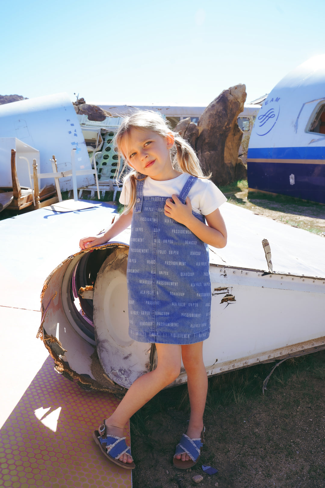 Printed Denim Jumper