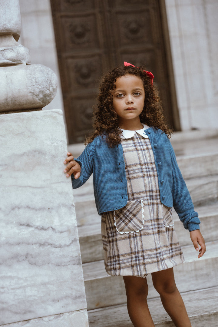 Plaid A-line Dress